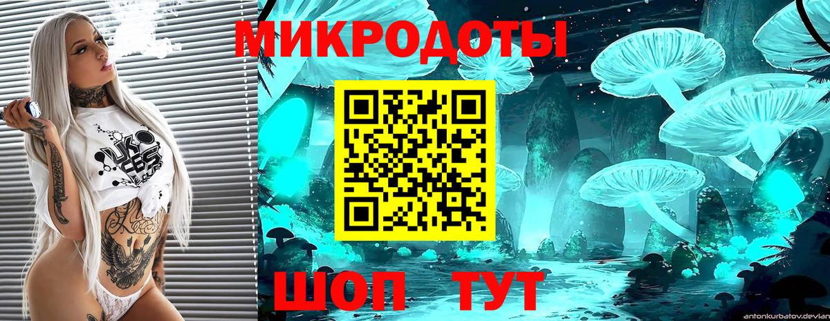 Галлюциногенные грибы Cubensis Волоколамск